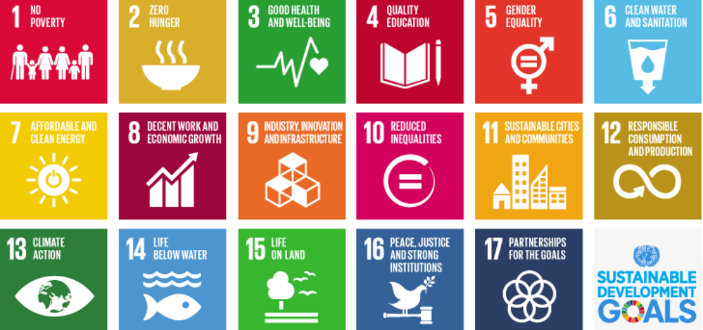 United Nations Global Compact Profile