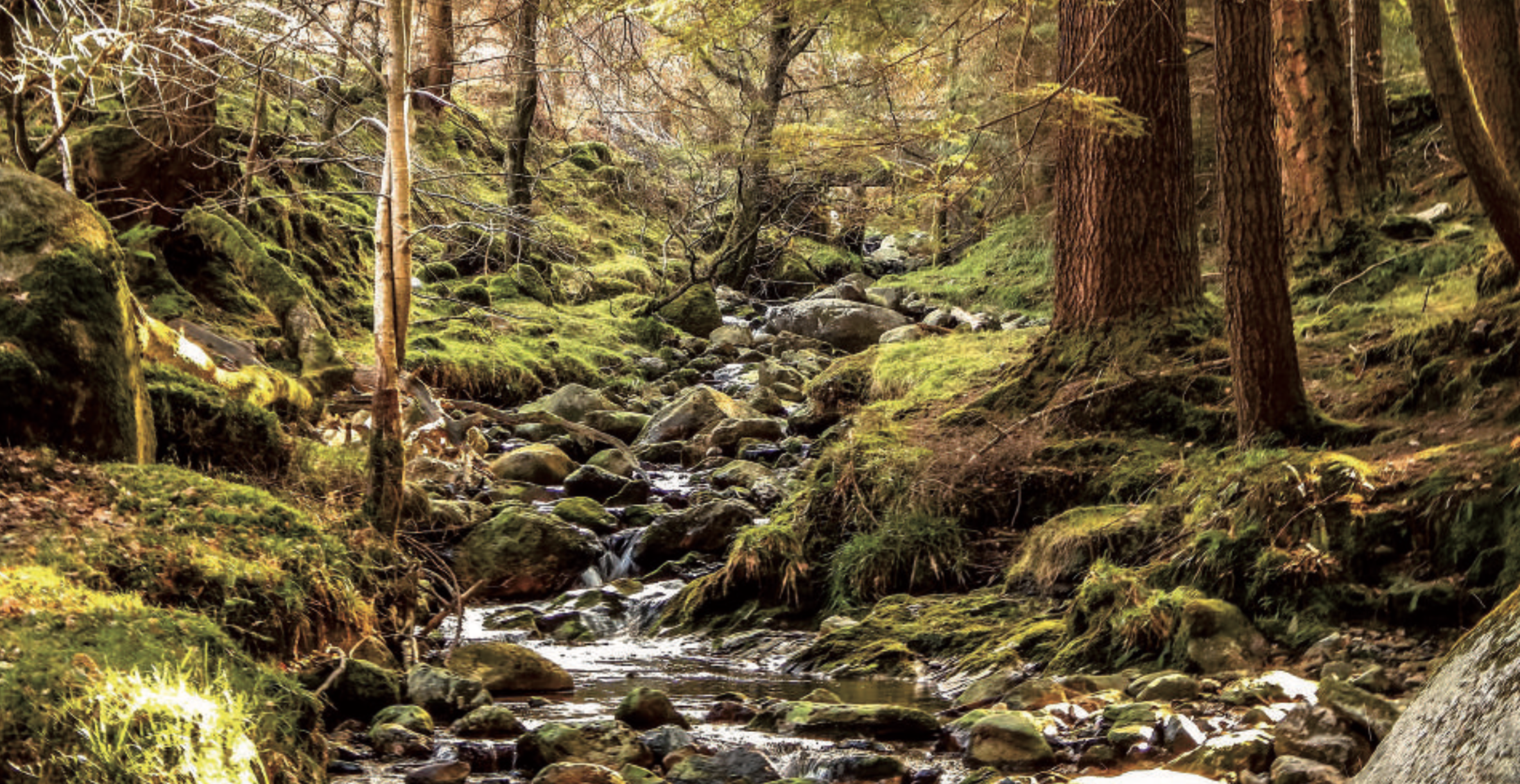 The Midlands: Ireland’s Hidden Heartland