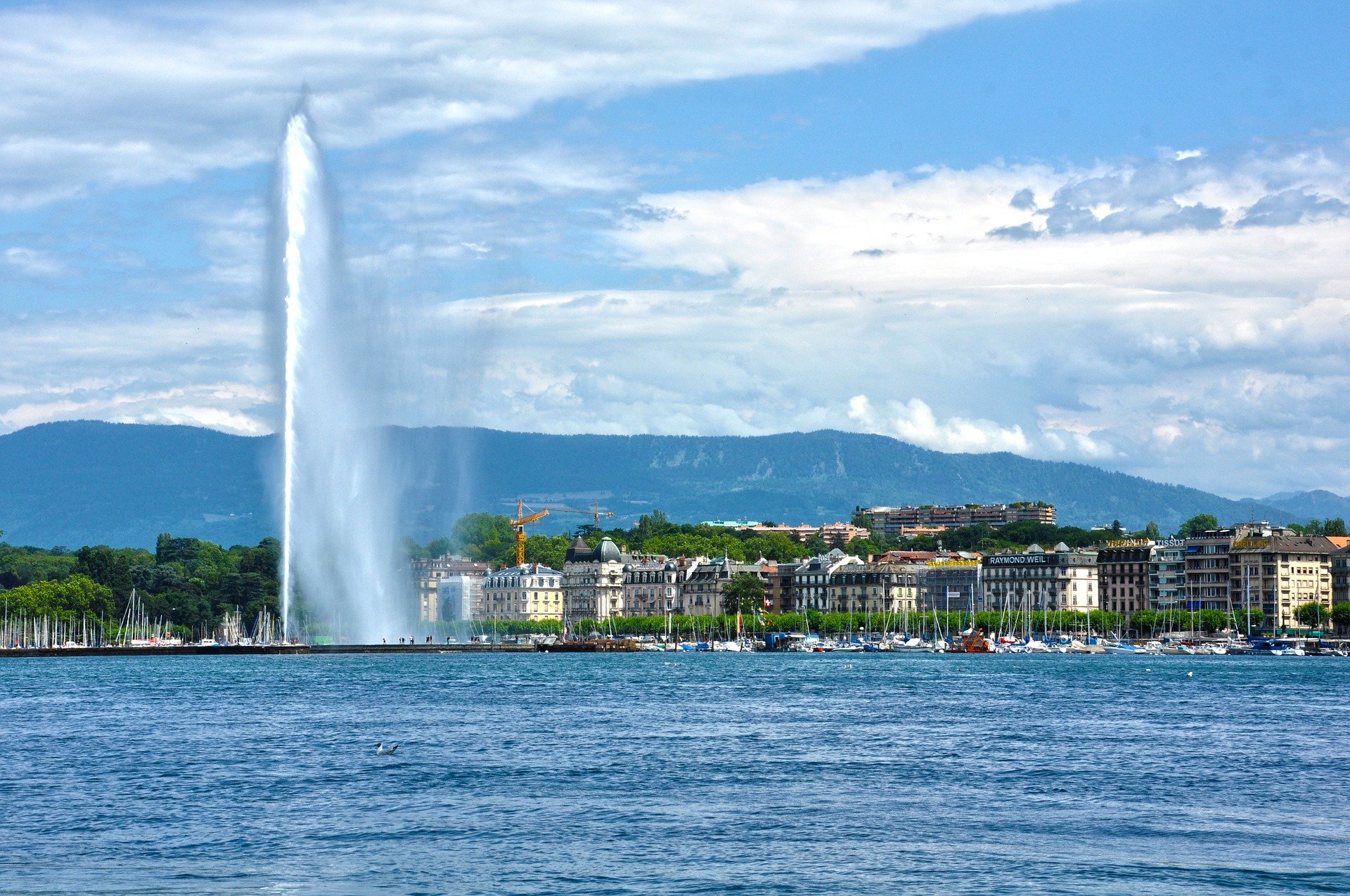 Geneva: The Global Capital of Peace Fostering a thriving business metropolis