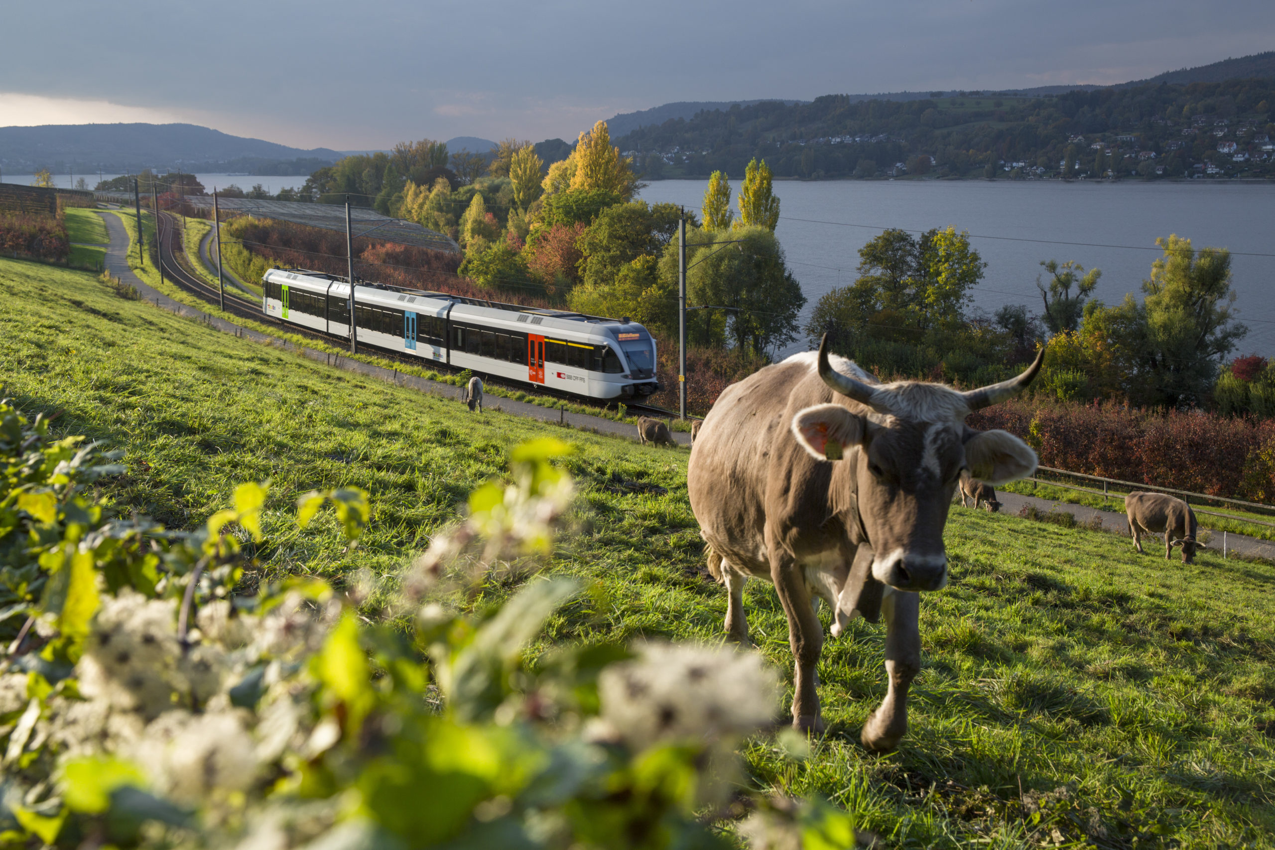 Thurgau: An Industrious Canton