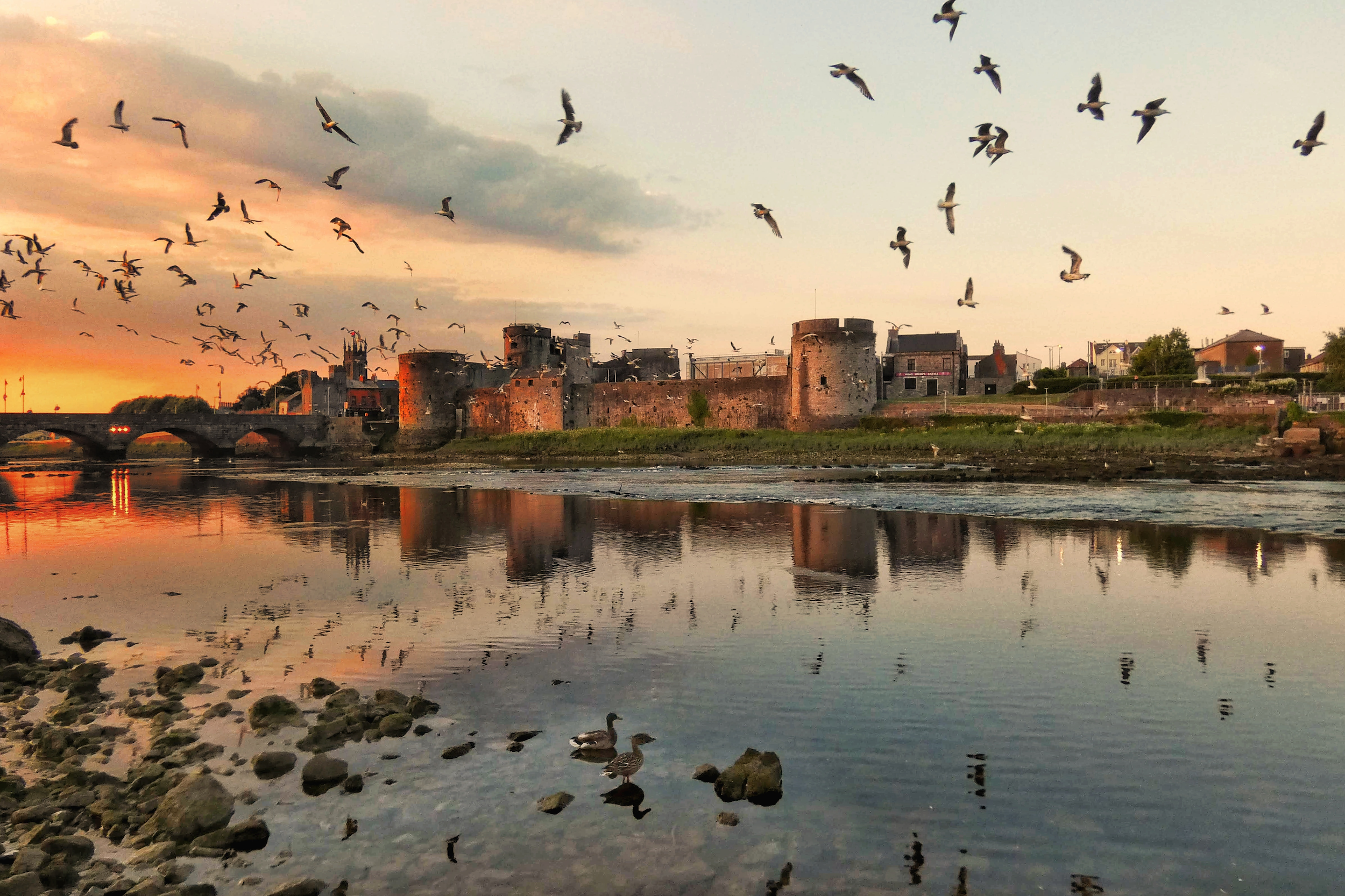 Limerick: A Hotspot for Irish Innovation