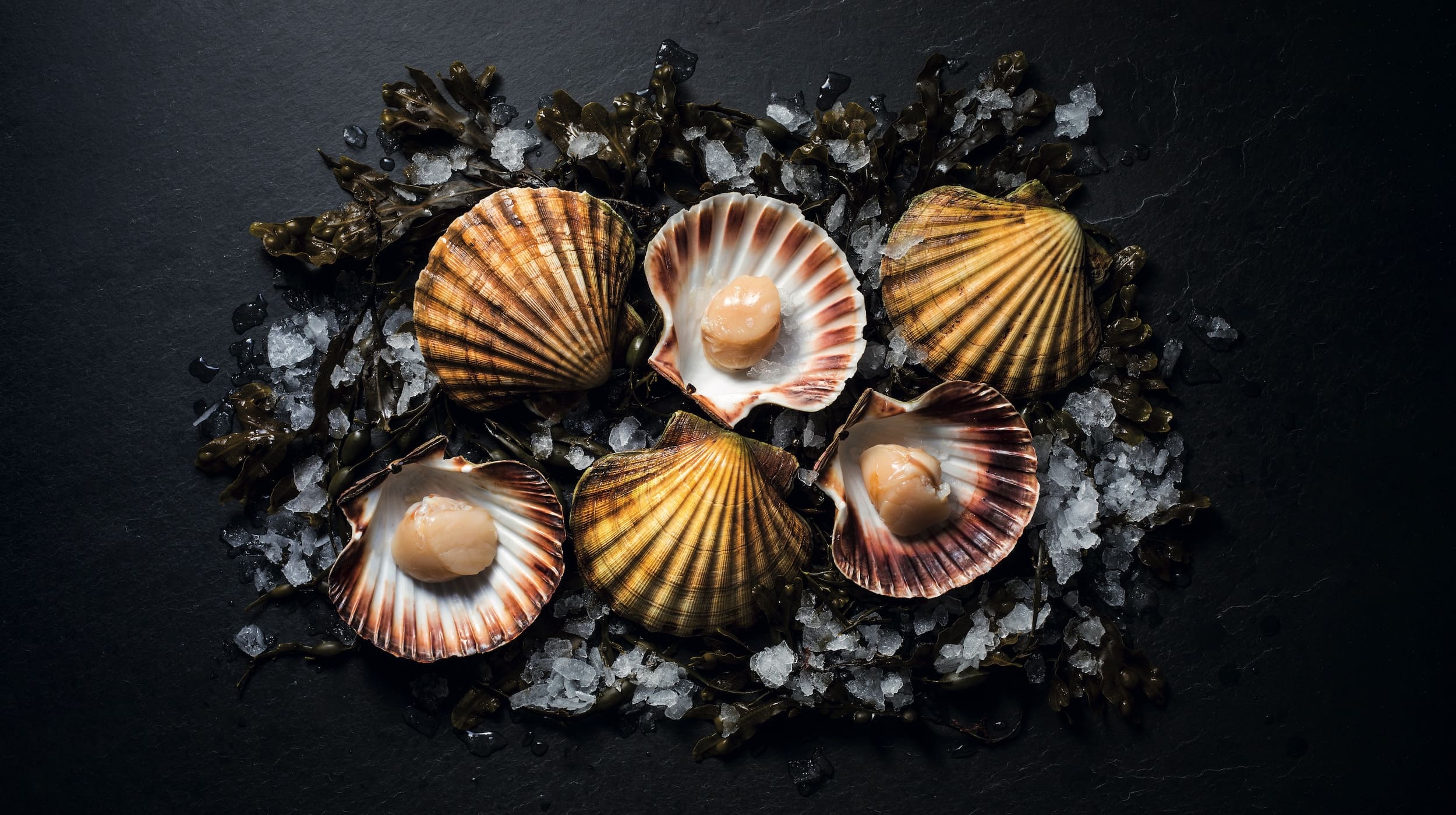 From Scottish Waters to American Tables