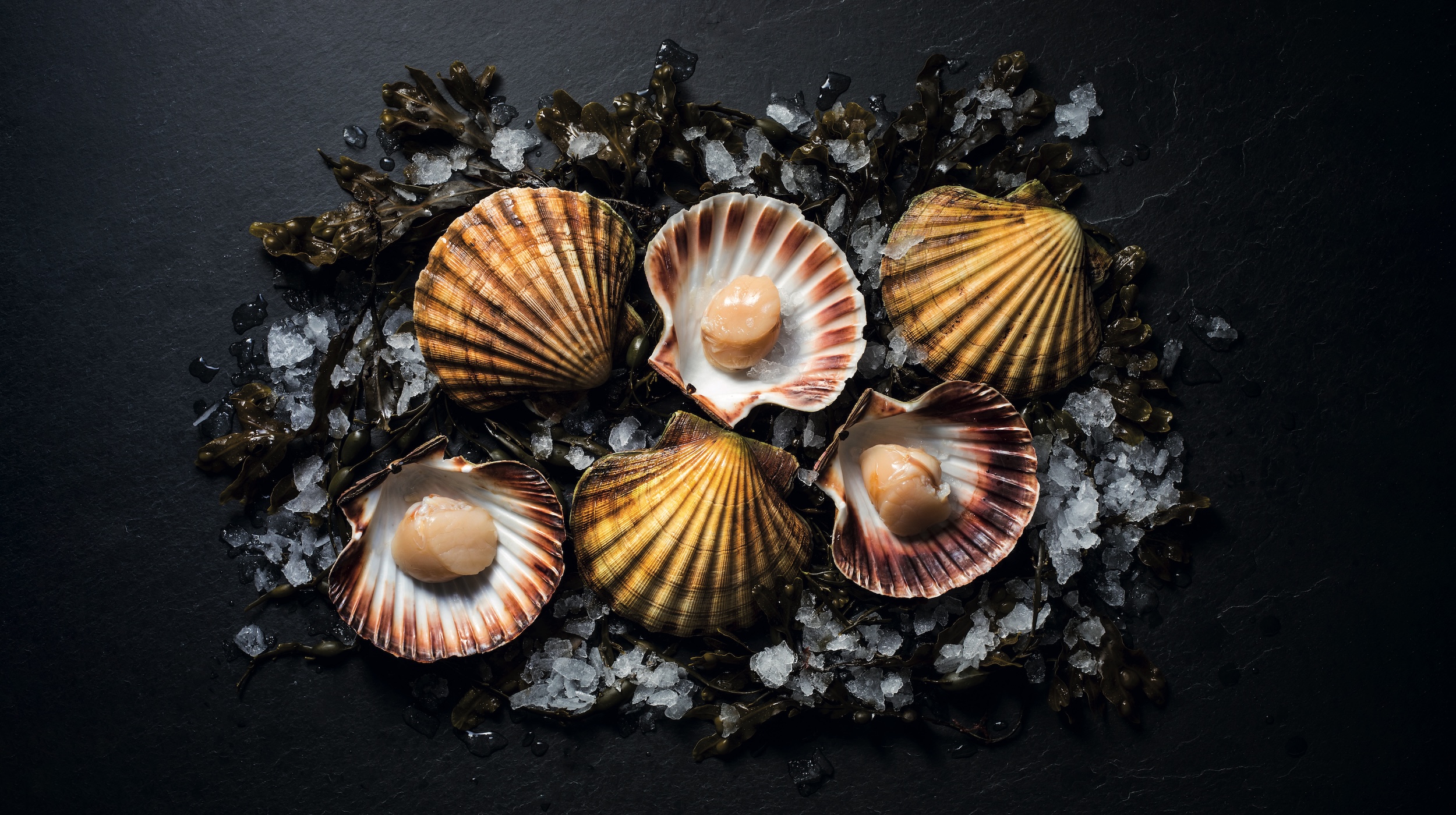 From Scottish Waters to American Tables