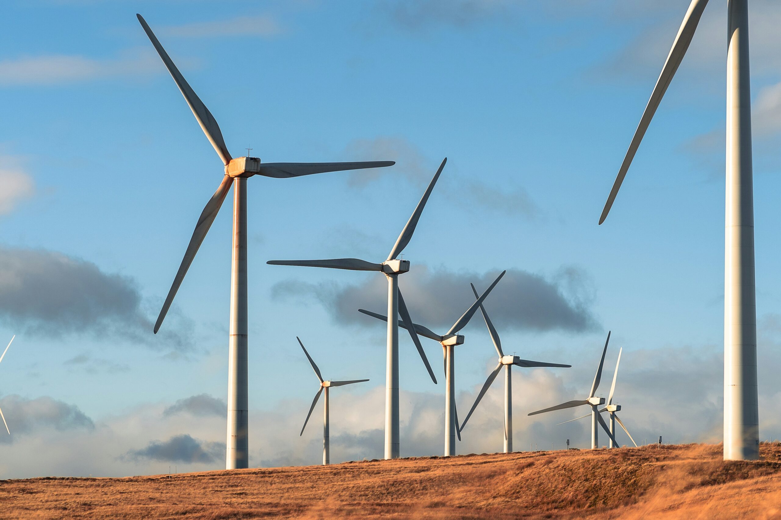 The Energy Transition: From Oil to Renewables